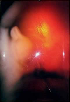 Labios de Placer - Daniel Arguello Labios de Placer - Daniel Arguello