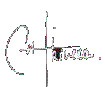 firma Cali Rivera firma Cali Rivera
